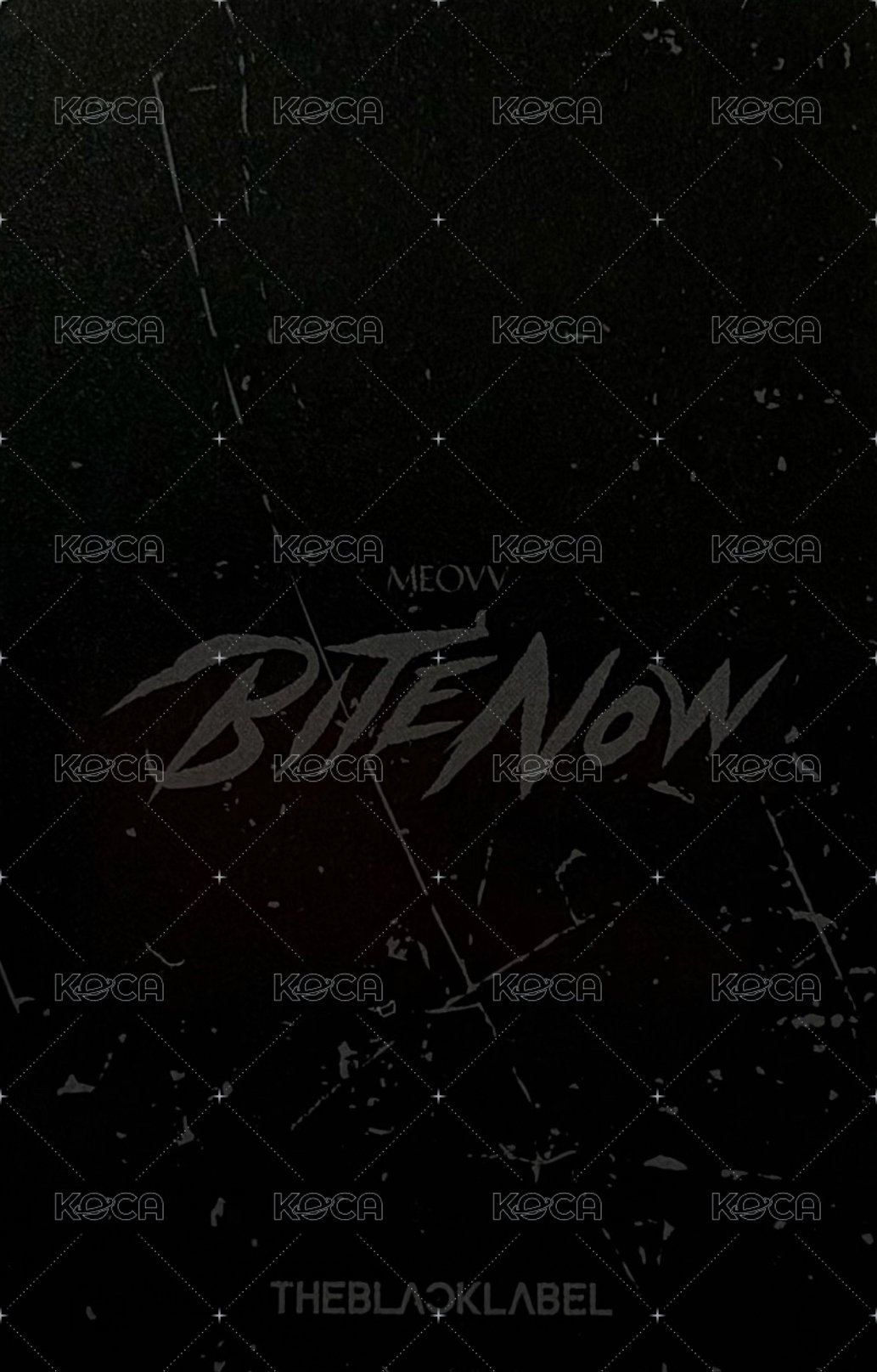 BITE NOW tbl 短T 周邊卡  背面