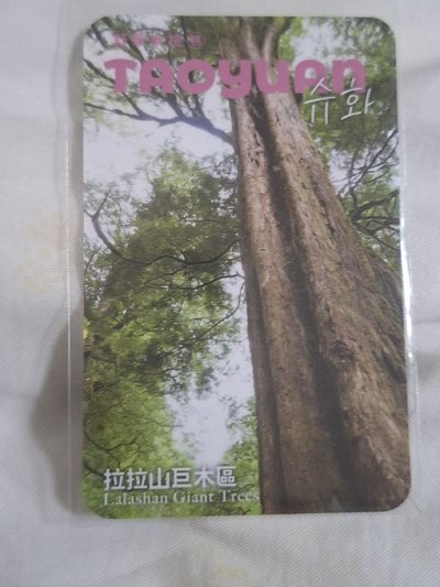 i dle 舒華 桃園觀光大使