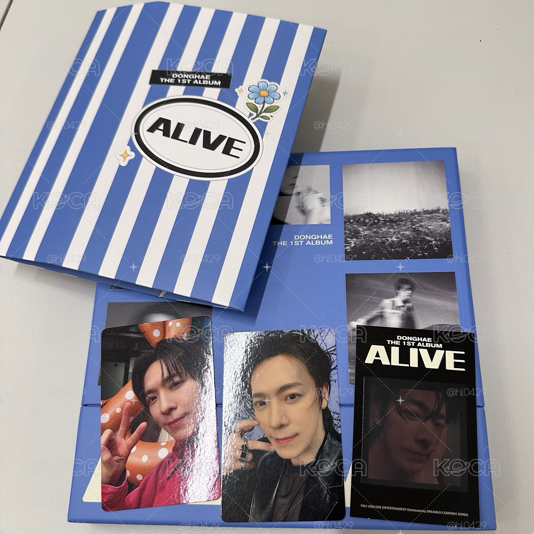 東海ALIVE PB版全專