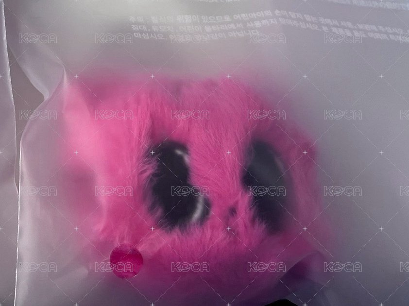 火龍果喵