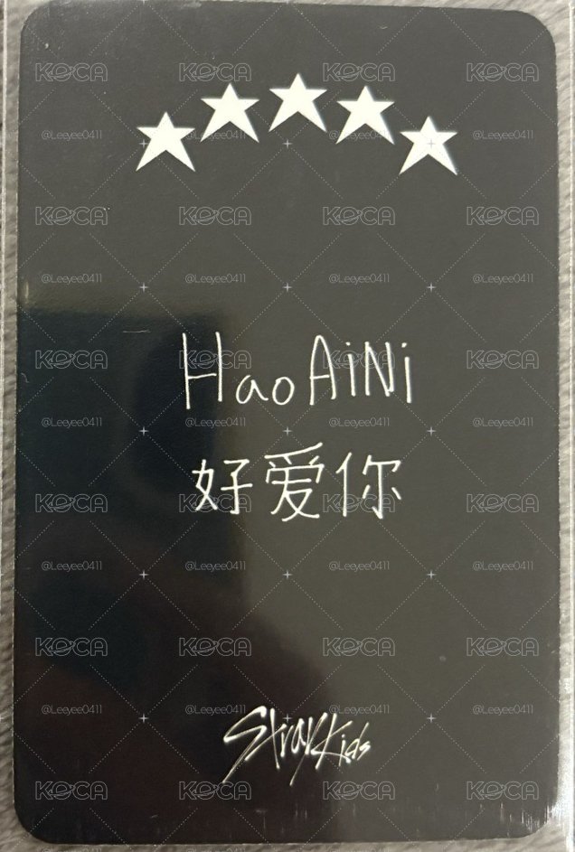 SKZ✨城卡 中背-HaoAiNi好愛你
