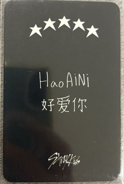 SKZ✨城卡 中背-HaoAiNi好愛你