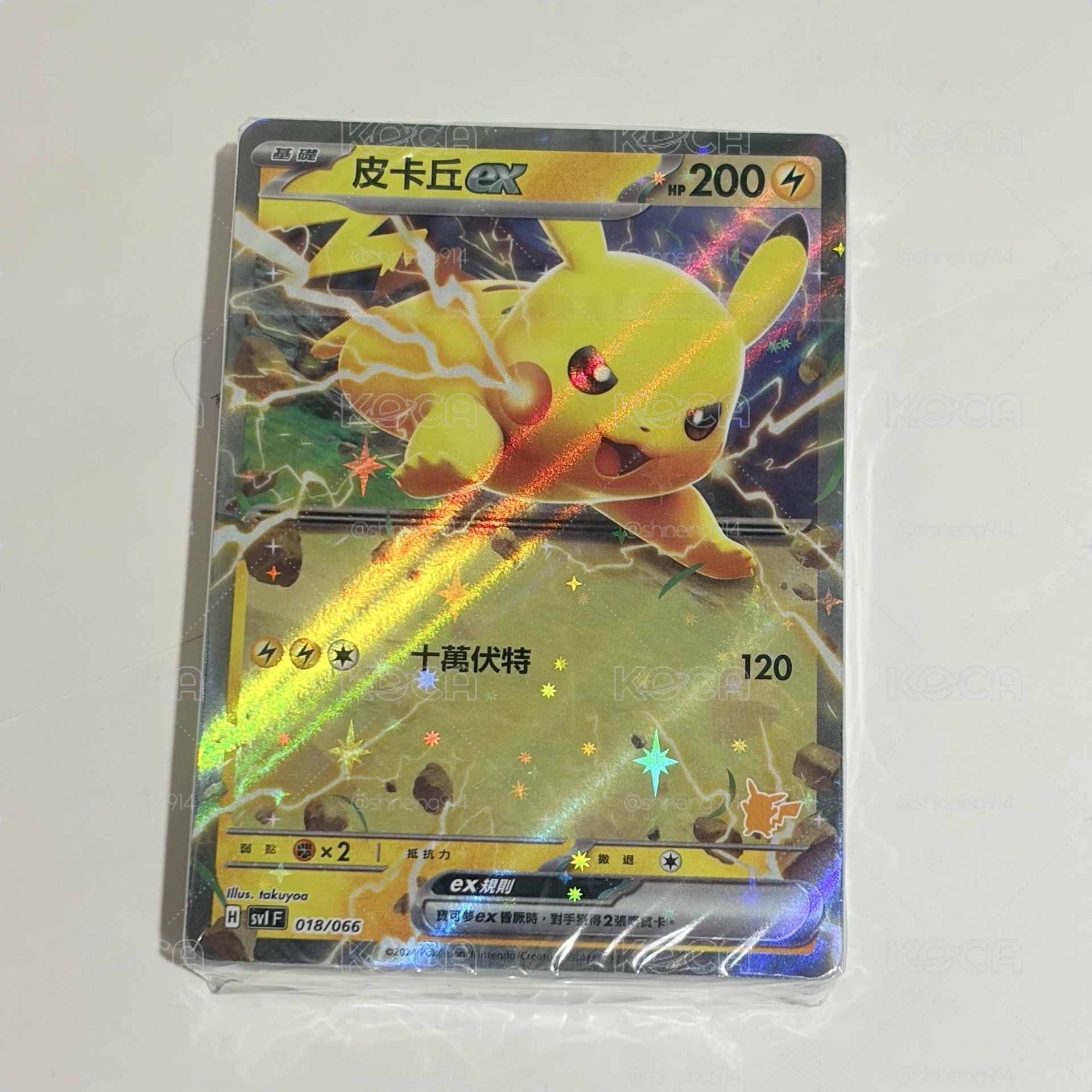 Trainers Camp 皮卡丘卡組