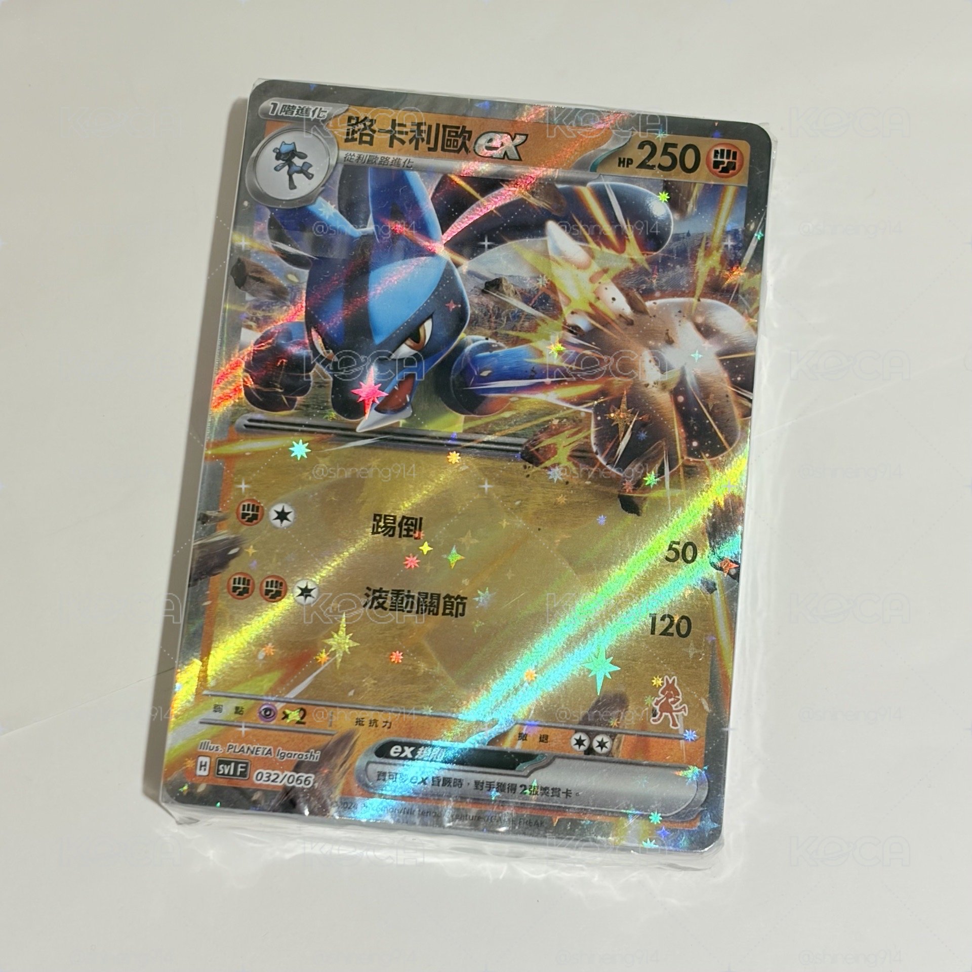 Trainers Camp 路卡利歐卡組
