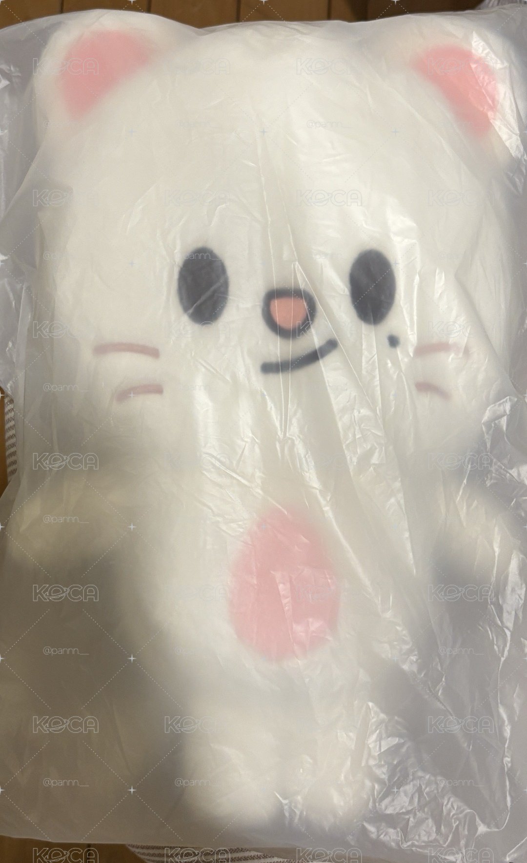 六期飯咪 辰後背娃（含背包卡+滿額卡）
