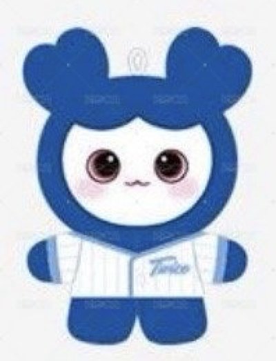 TWICE 棒球娃 桃紗瑜