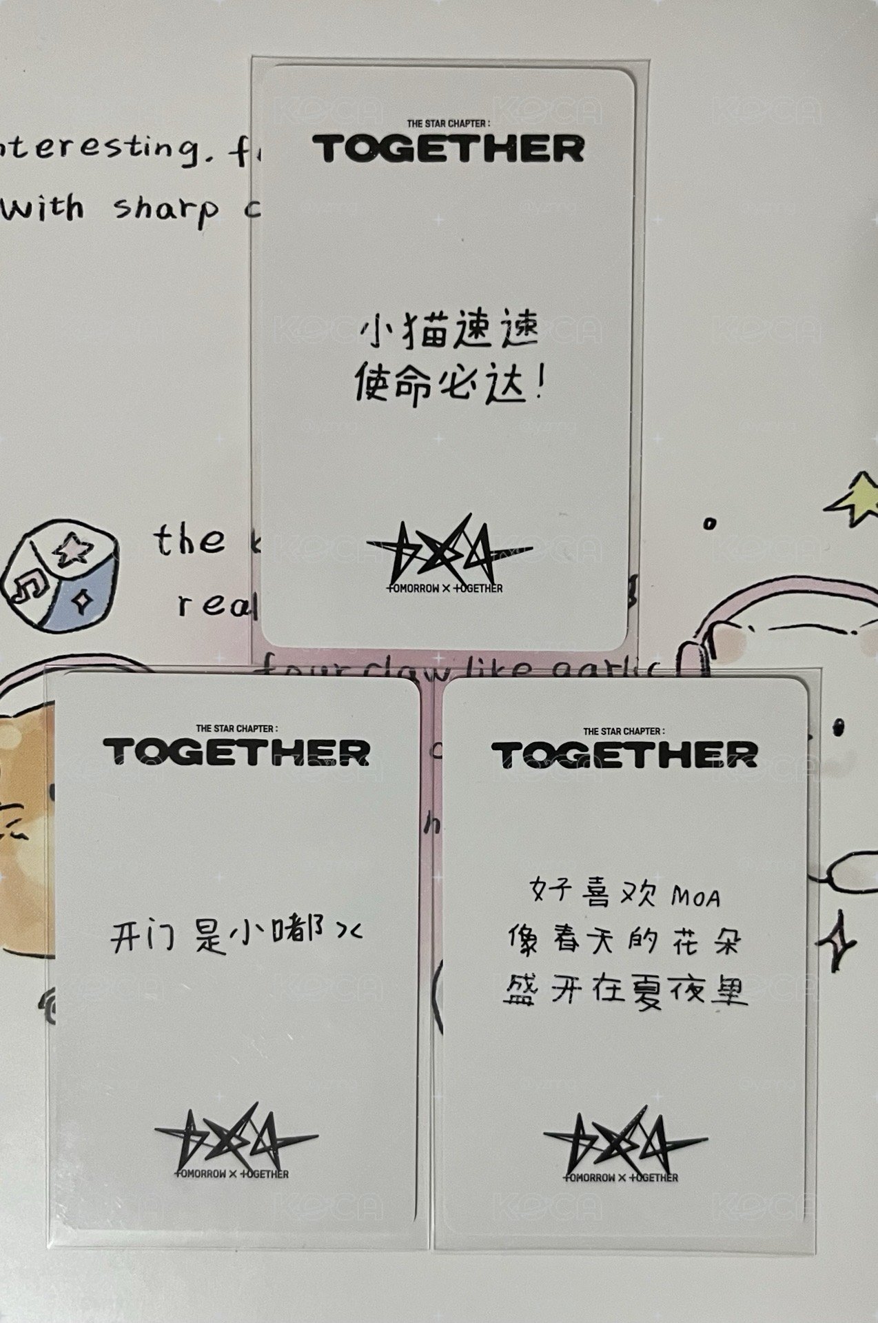 彬竣顯yzy中背(p2)