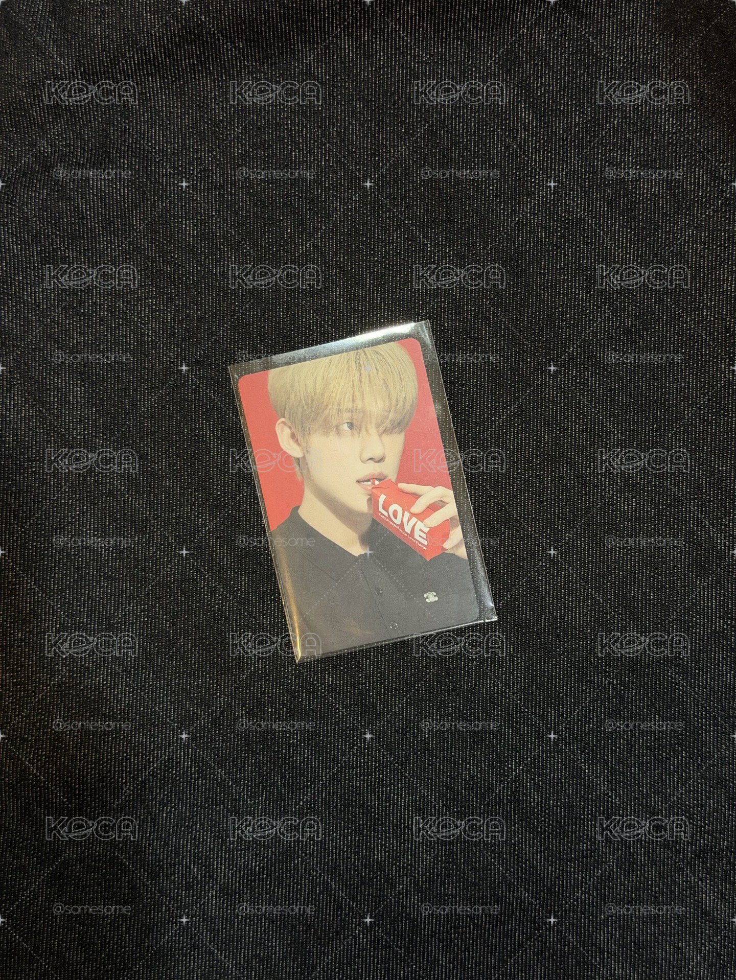 TXT 竣 sanctuary lover 專卡