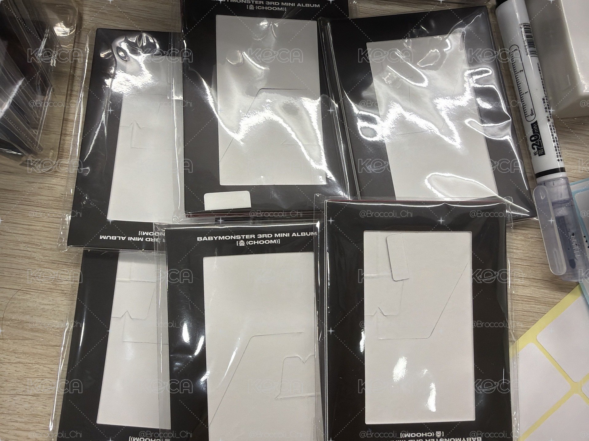 現貨｜WVS相框特典 一包三入