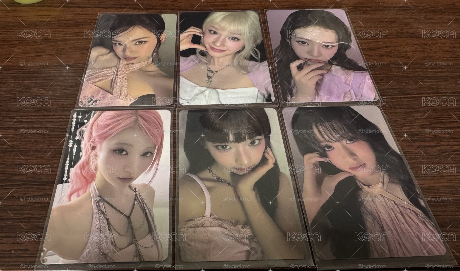 娃專一套+wvs預售特典