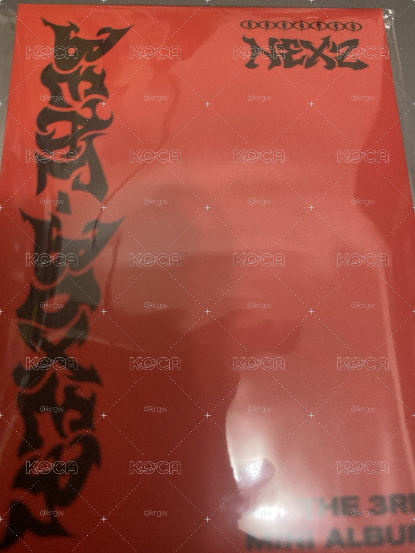 🍄BB娃專固卡