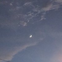 梨子