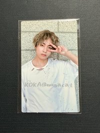 17藍泰