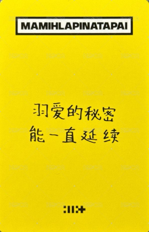 MAMIHLAPINATAPAI yzy 預售2.0 特典卡  背面