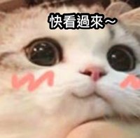 快樂小短腿