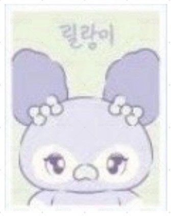 🐳 NMIXX 世巡證件照莉
