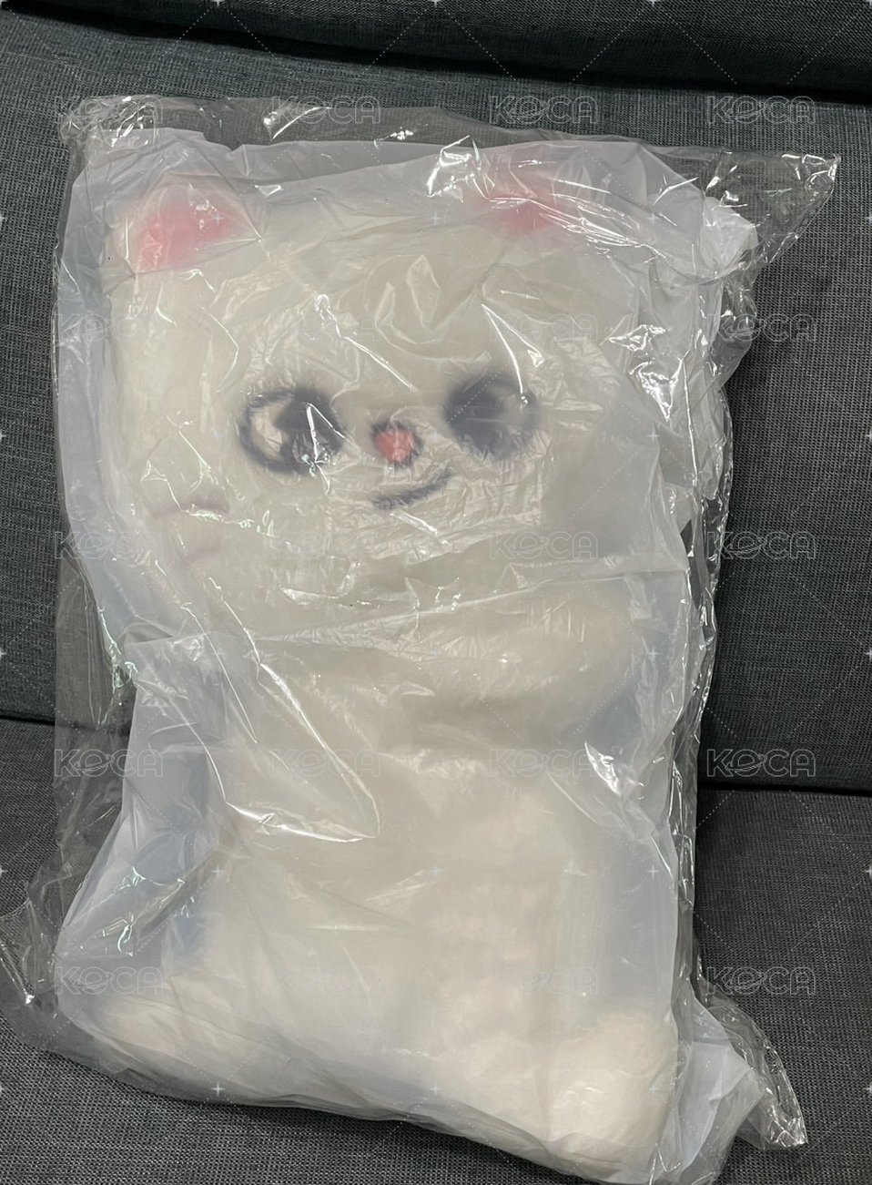 辰側背娃