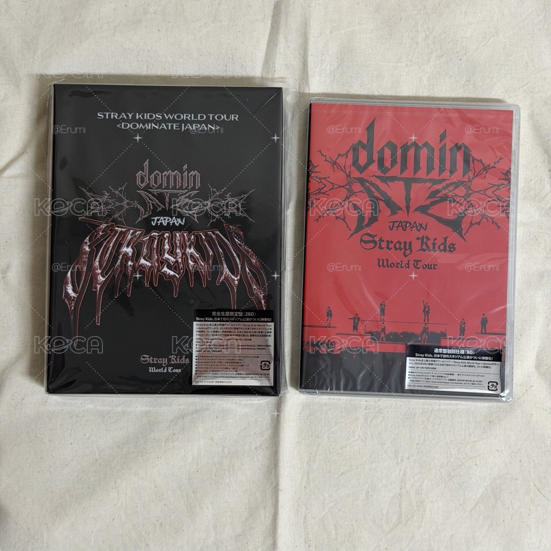 3rd 世巡 日本場 藍光DVD