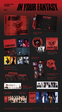 IN YOUR FANTASY DVD