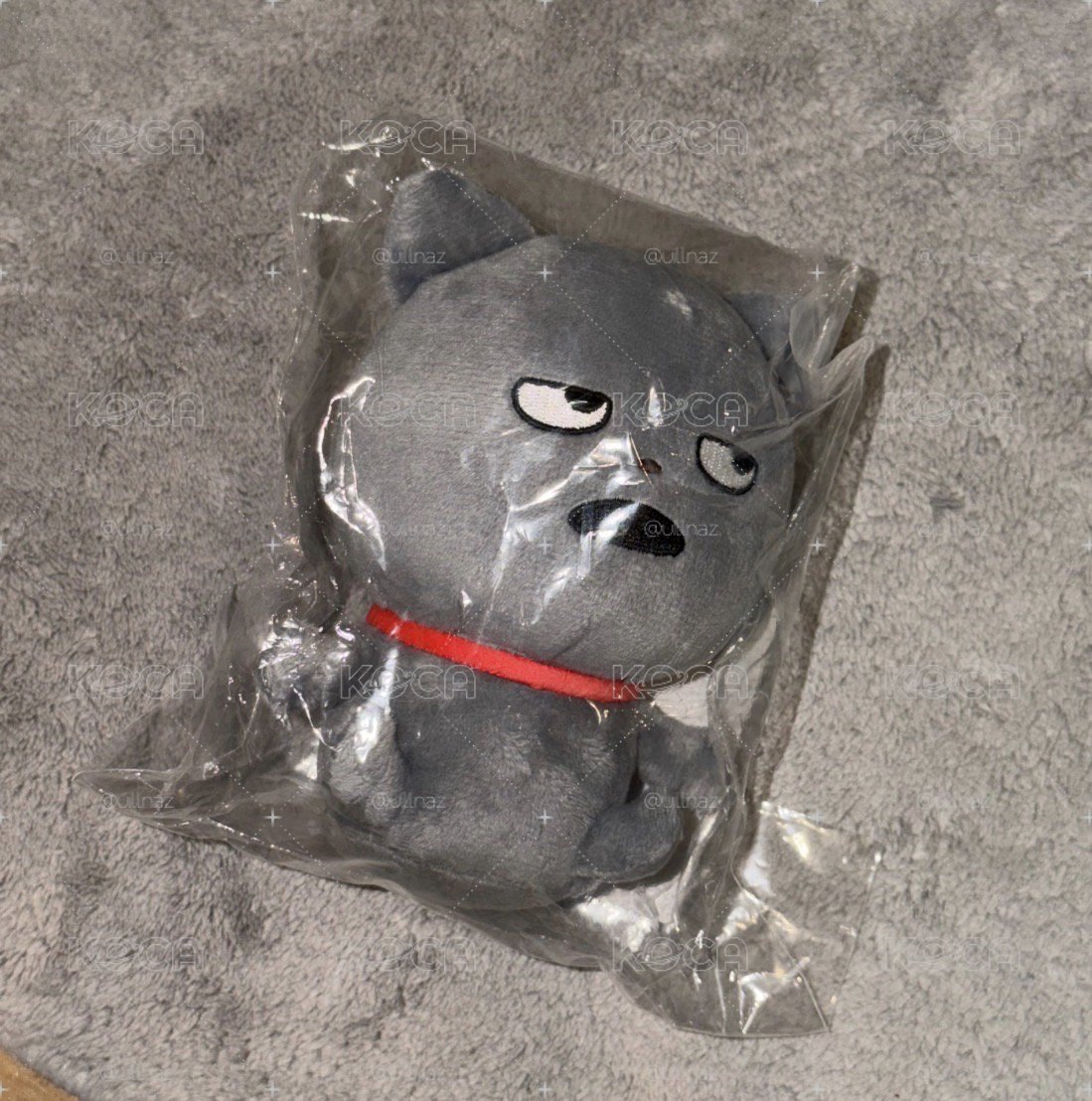 壞壞貓娃