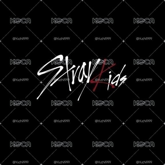 Stray kids 周邊