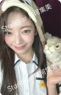 Motto 迷十二 sr 2.0 線上 中背 簽售卡 松鼠