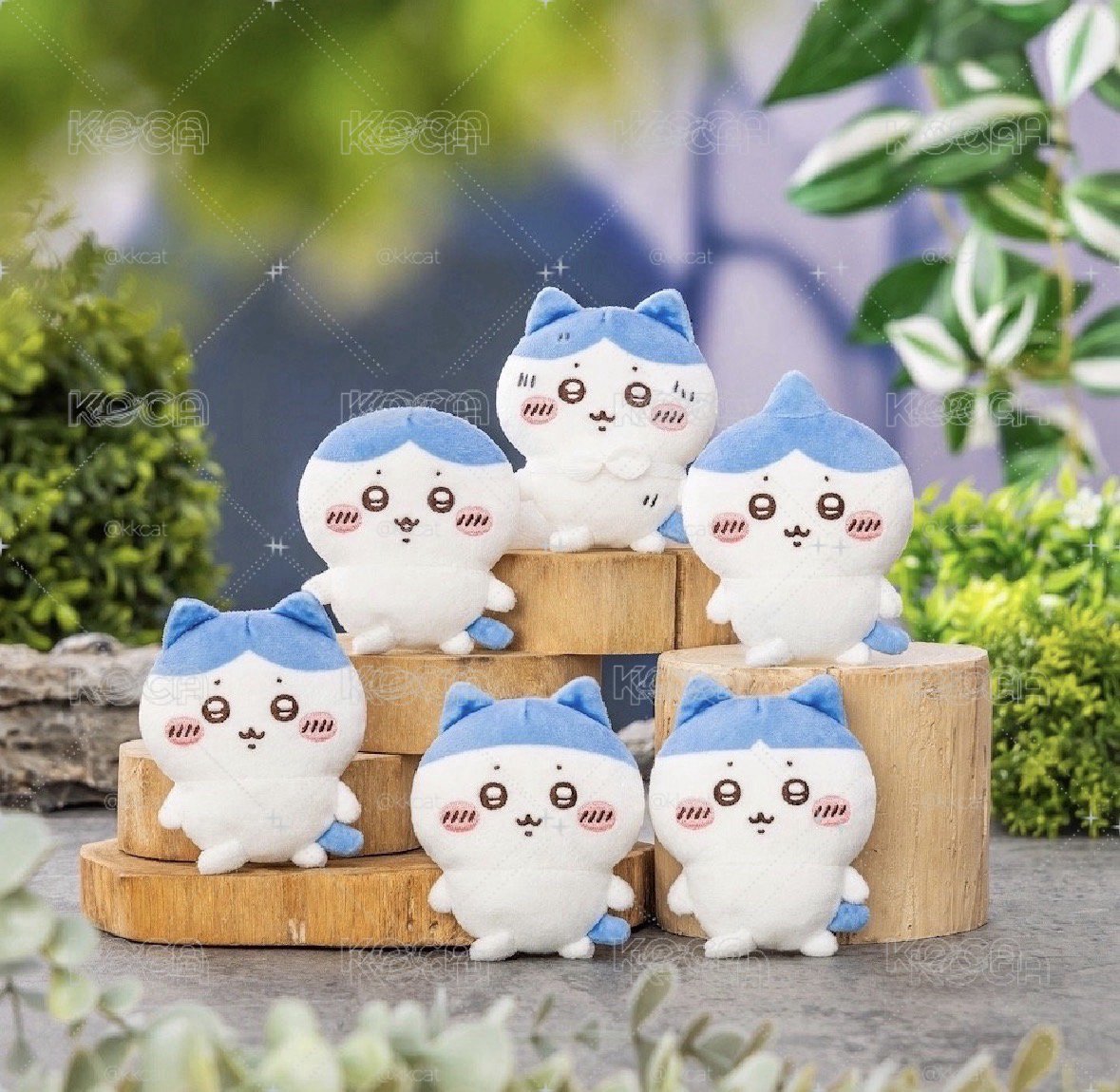 預售 小八一番賞