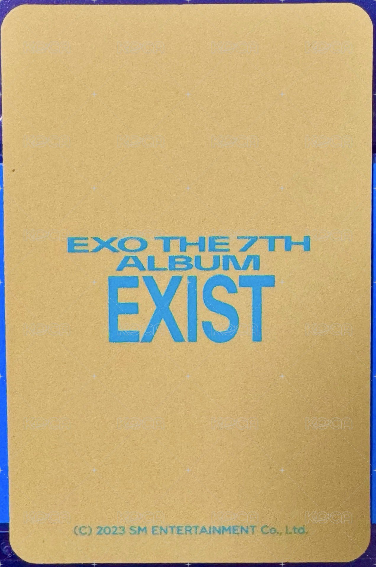 EXIST 快閃店 隨機卡 C 背面