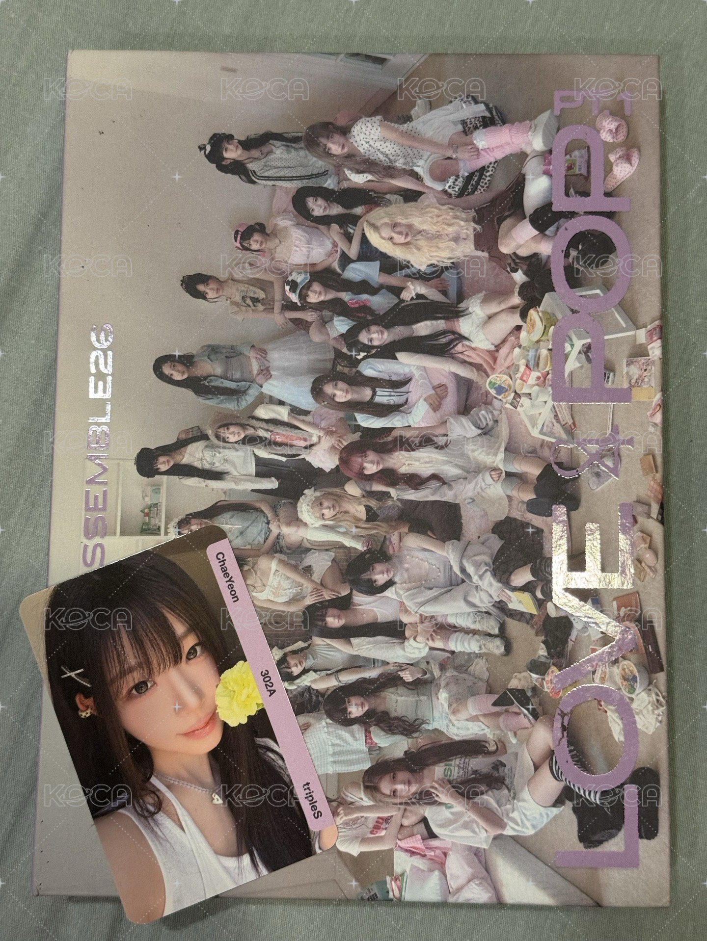 4粉版