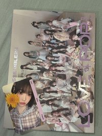 17粉版