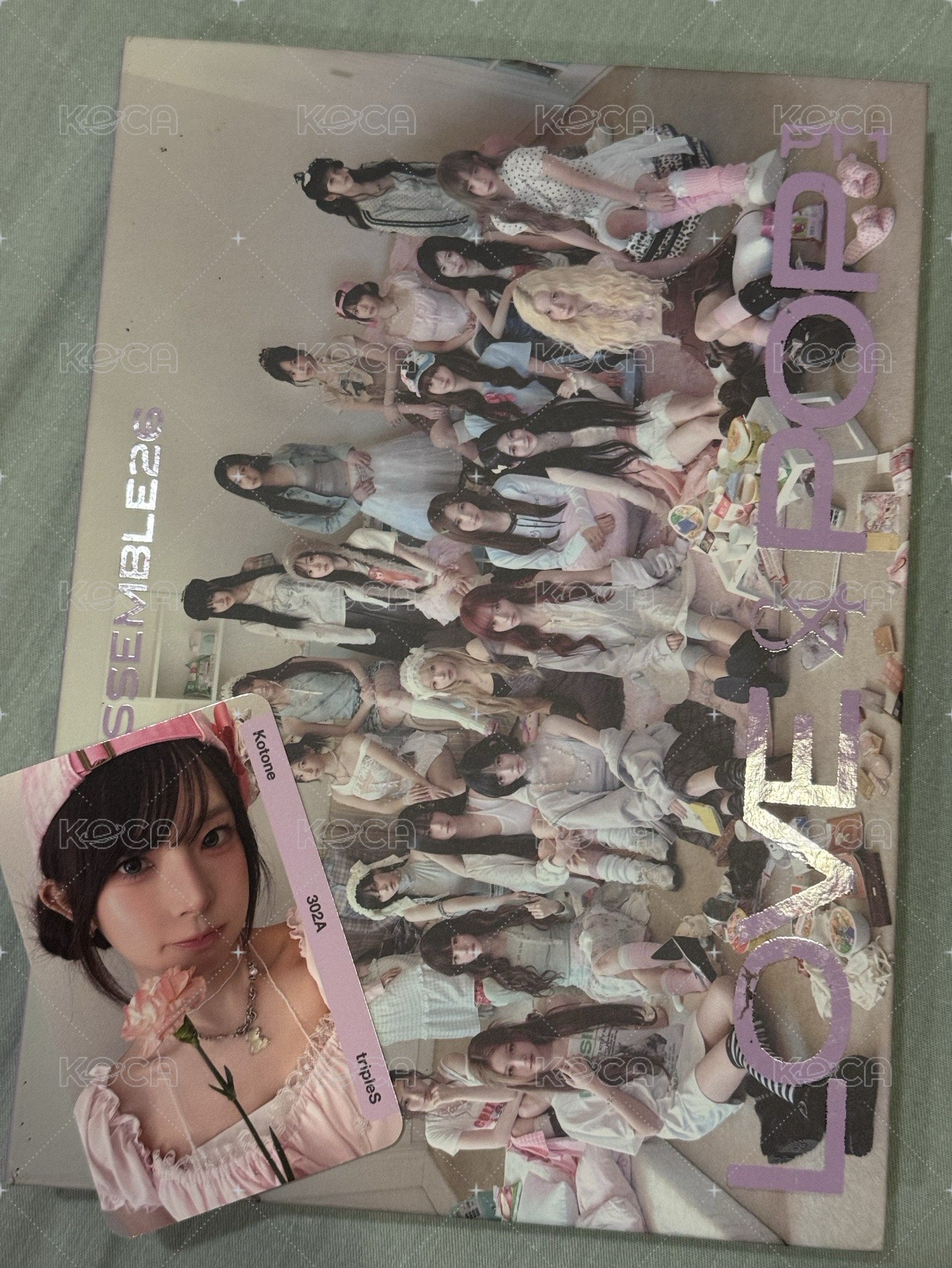 11粉版