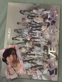 11粉版