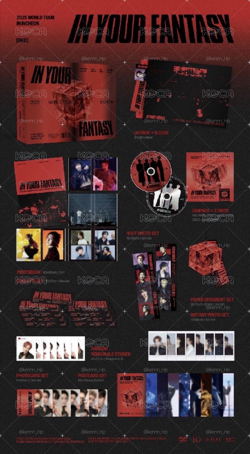 IN YOUR FANTASY DVD 