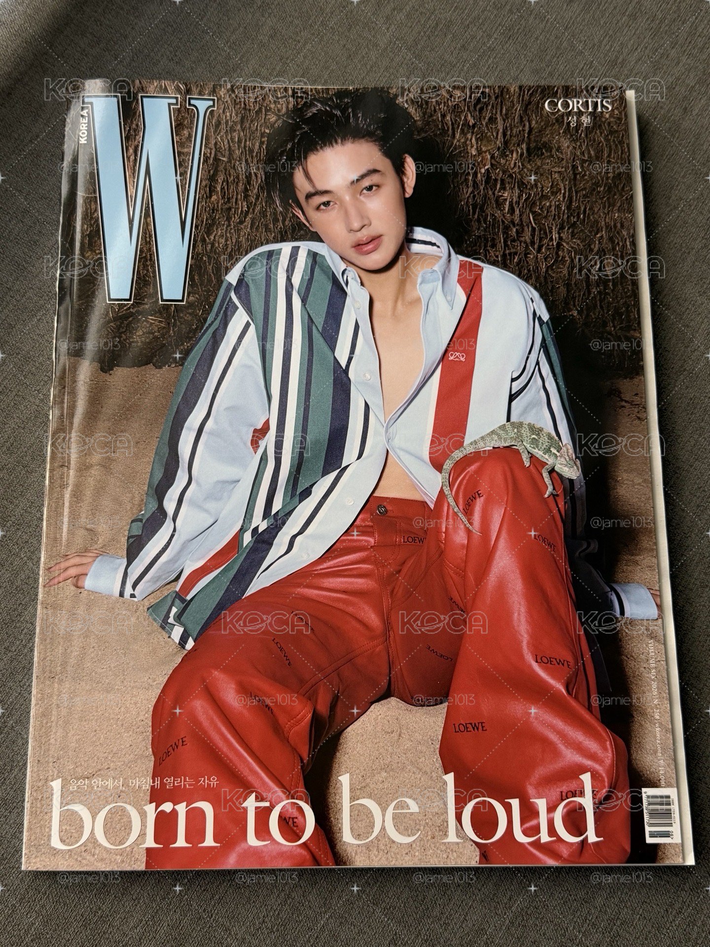 W korea 巖