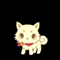 コハク