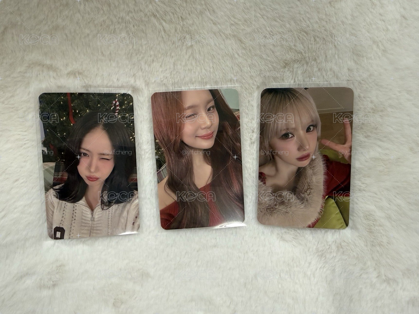 2026櫻花季小卡 viviz youngji