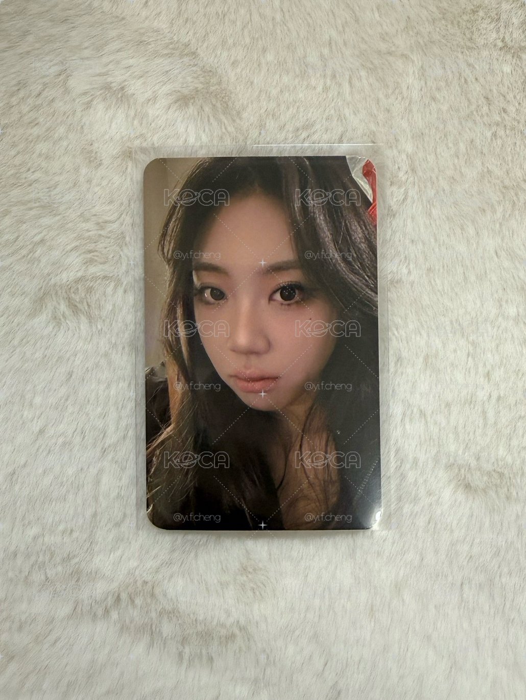 2026櫻花季小卡 viviz youngji