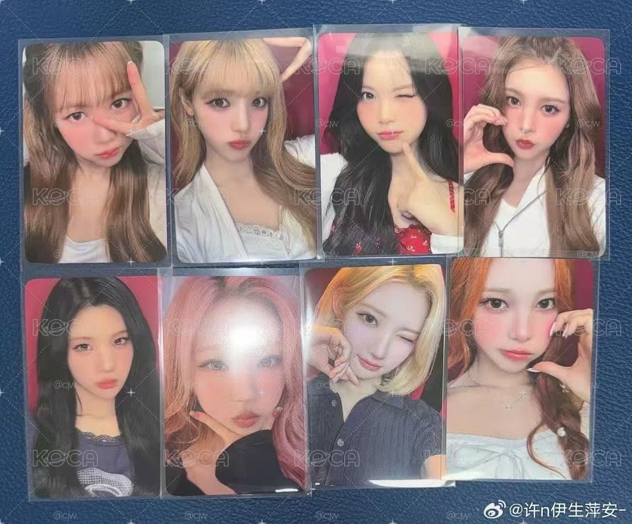 EL簽售卡