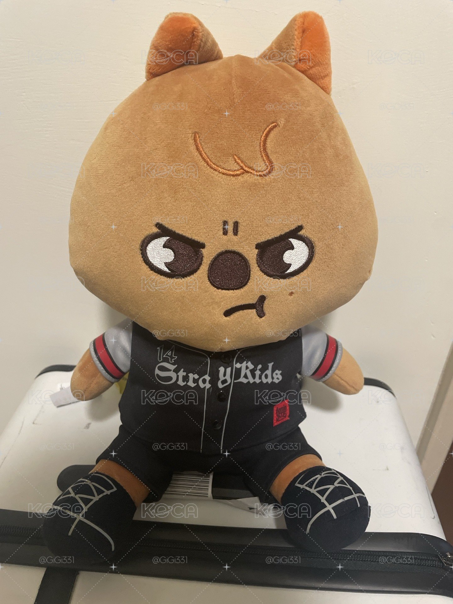 靜岡場大娃