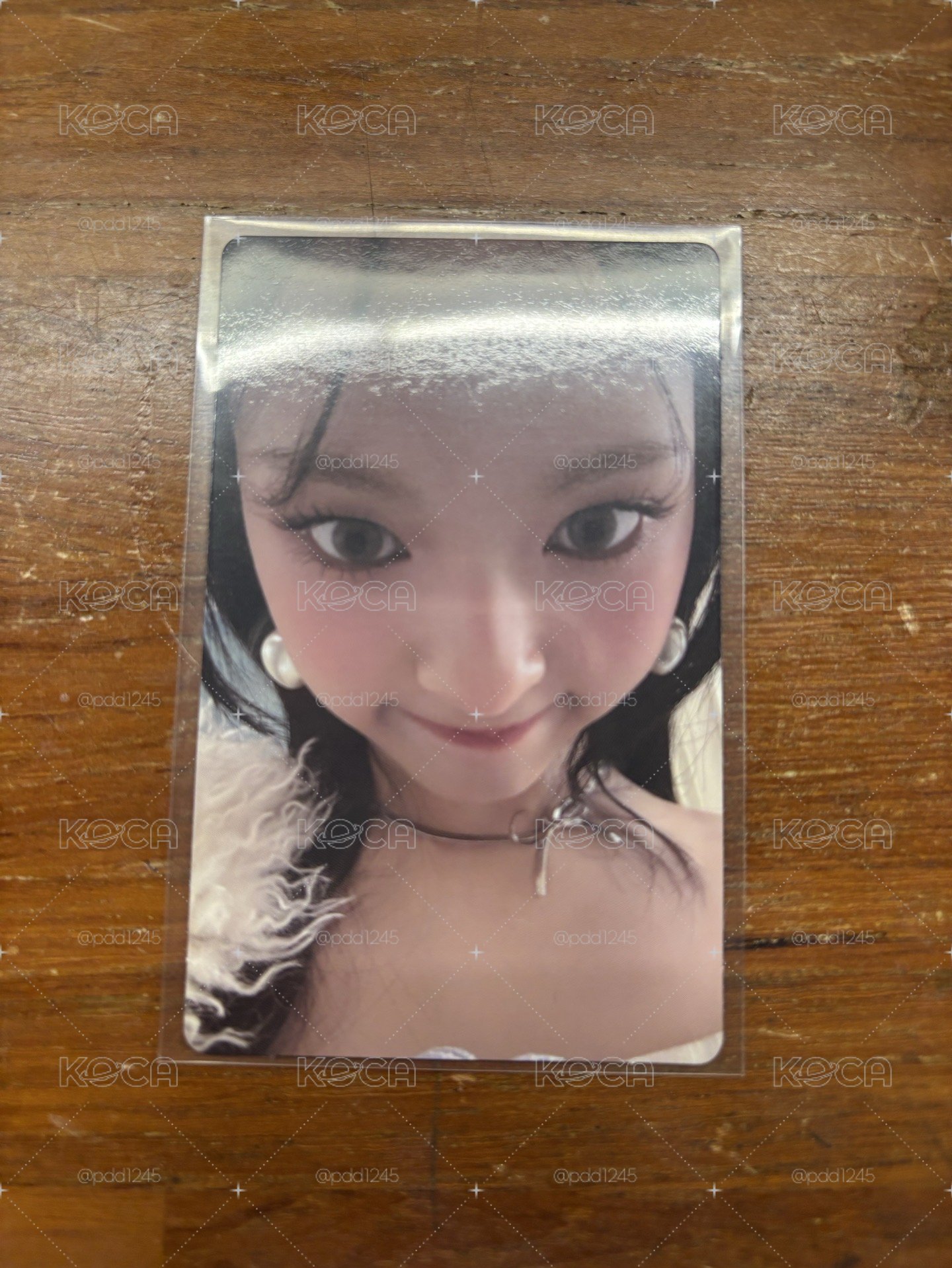 一週年寫真書 wvs 特典卡 b ver