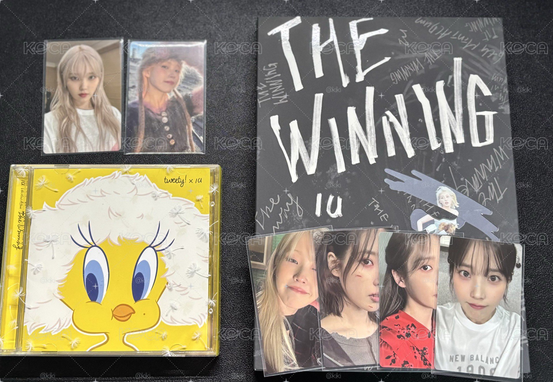 iu The Winning已拆全專