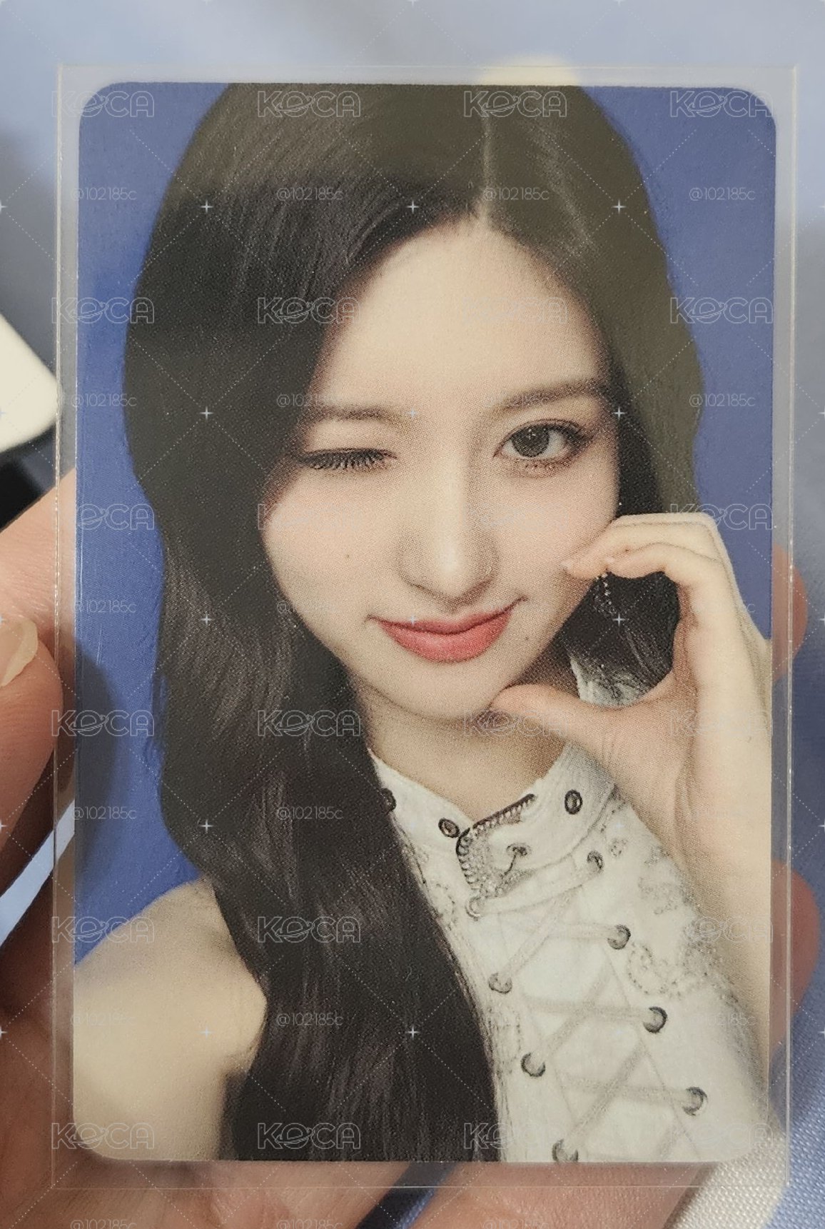 SHOW WHATIHAVE 世巡DVD AM特典卡 秋天