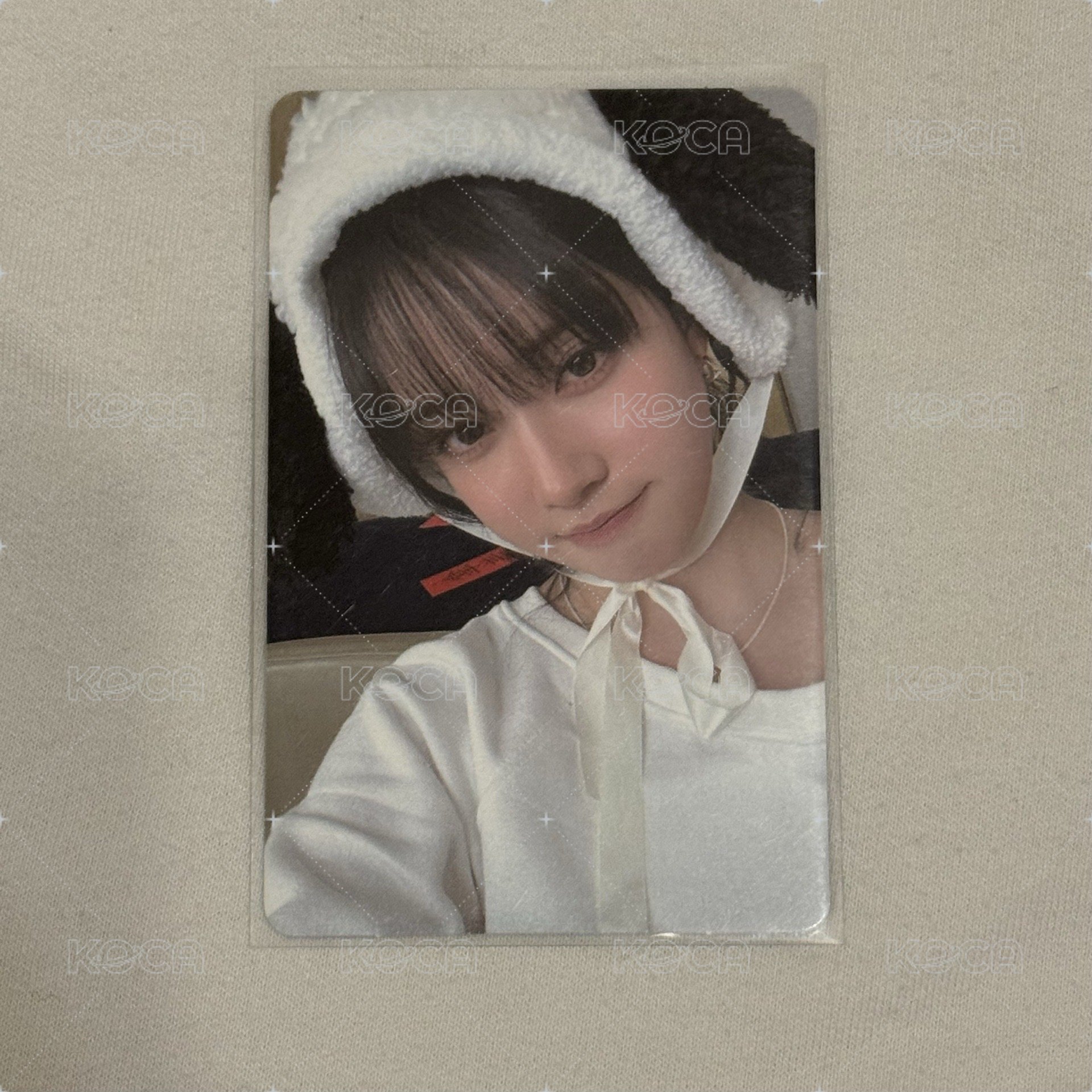允S狗兒打歌卡