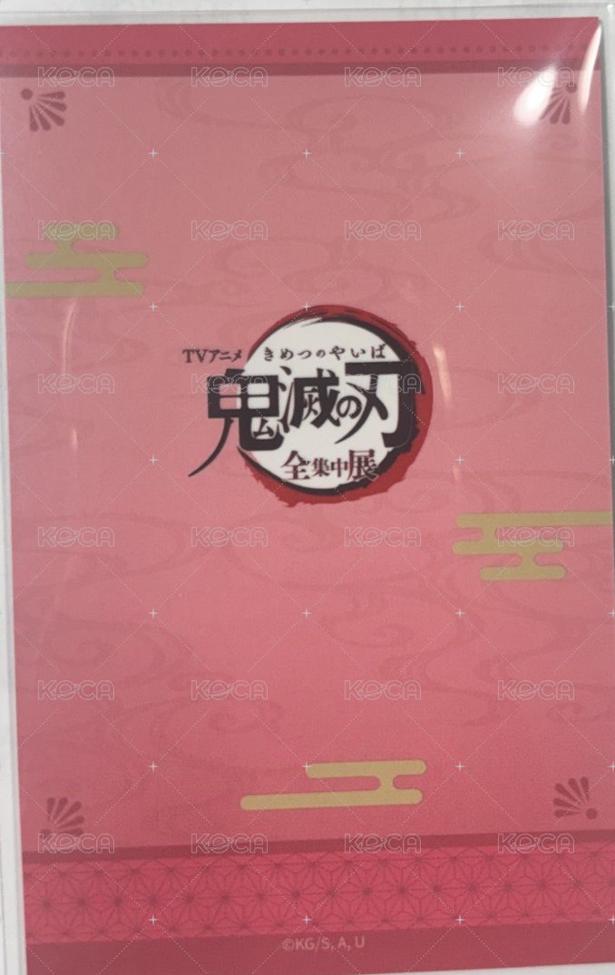 拍立得  背面