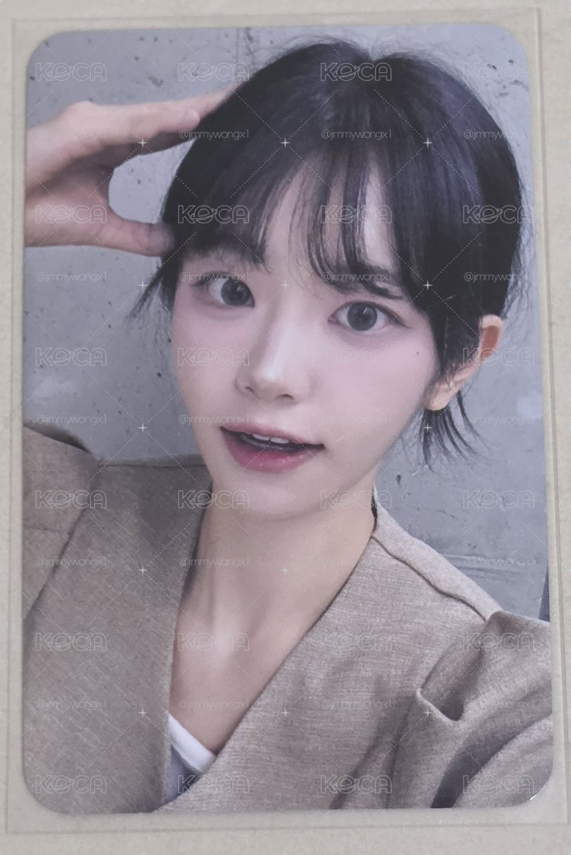 迷三 dmm 線下 1.0 簽售卡 小狗影子ver. 丹