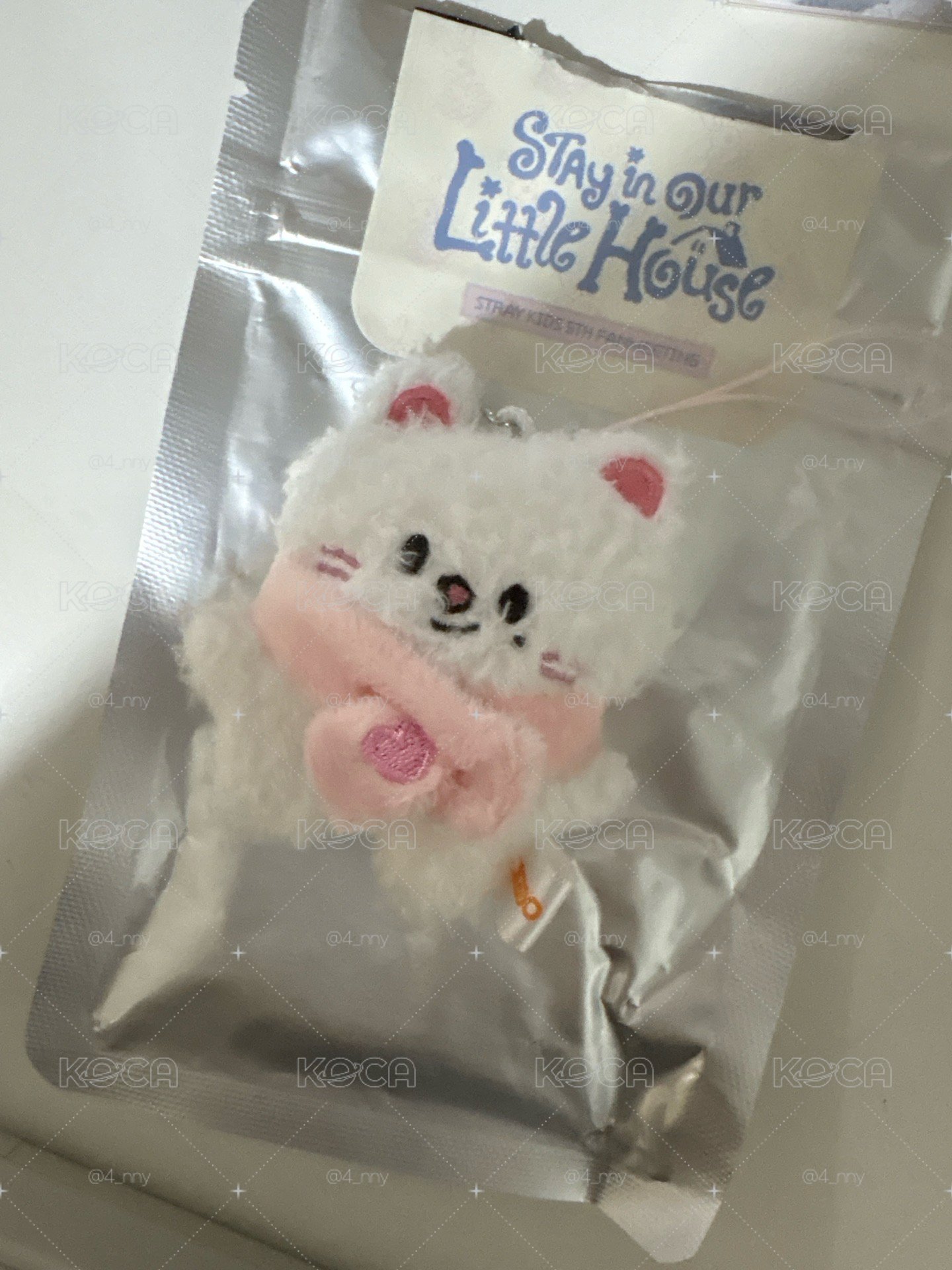 第六期飯咪原皮潦草辰