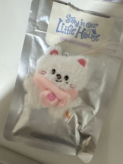 第六期飯咪原皮潦草辰