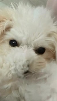 潔西賣卡泥