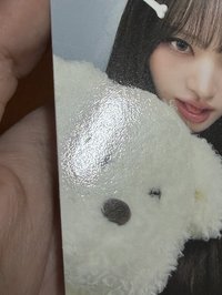 栗 正面瑕