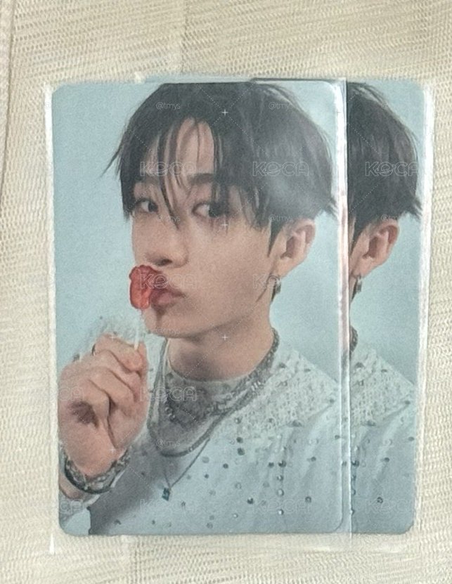 Stray Kids GIANT 燦專卡